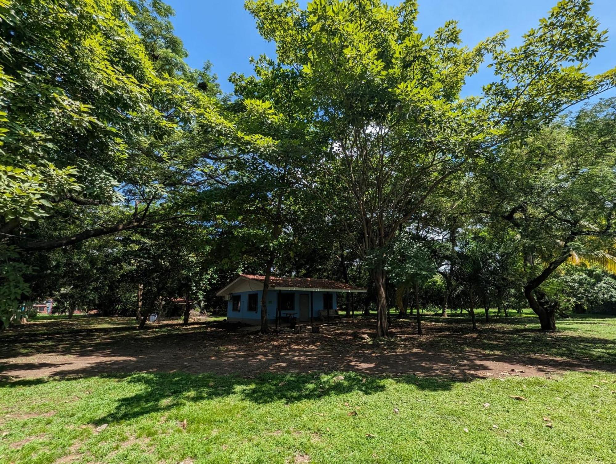 Iguana Street Houses Coco Ngoại thất bức ảnh